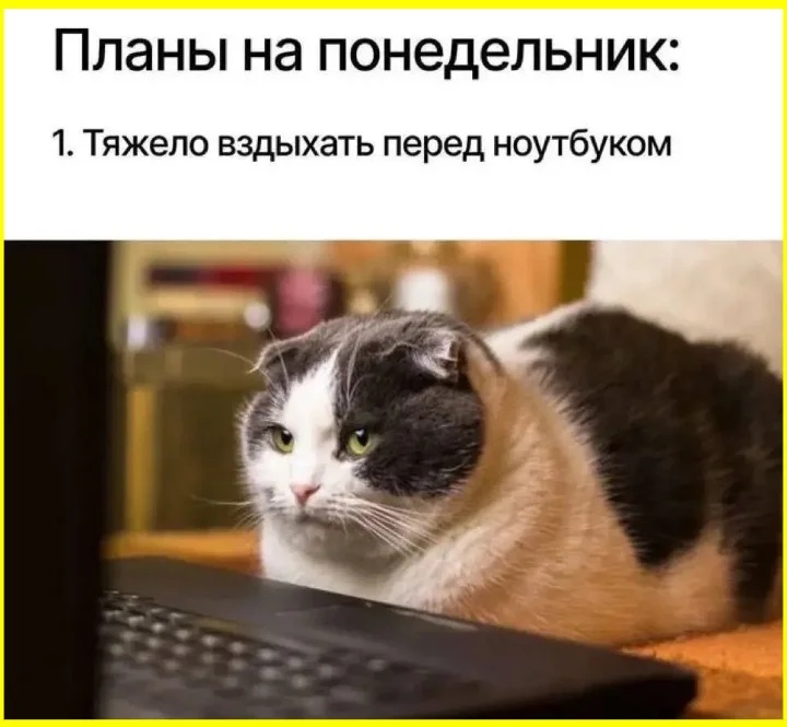Не верь глазам своим: подборка про «пять минут» приколы, ложь, отдых, смешные картинки, подборка