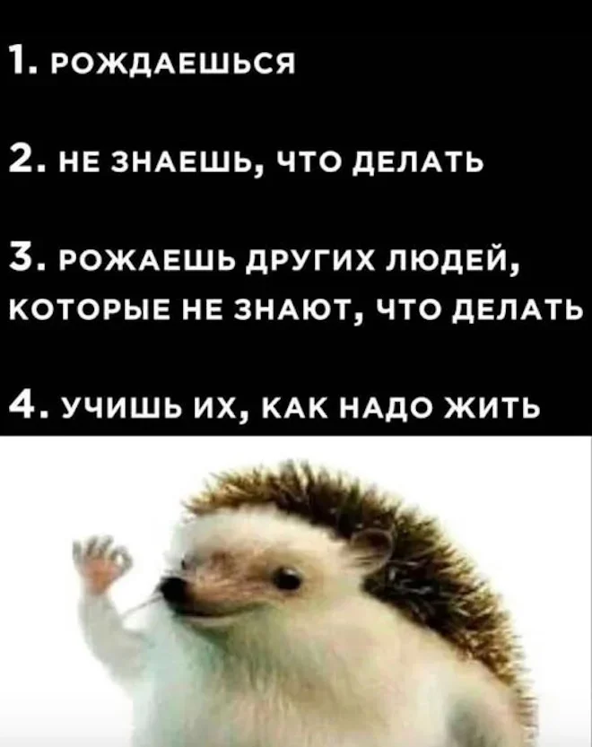 Утренний юмор 6 июня: мемы и гиперактивность Утренний юмор 6 июня: мемы и гиперактивность мемы, юмор, картинки, приколы, подборка, суббота