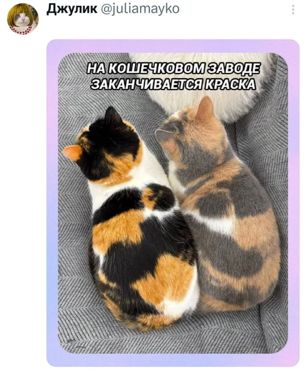 Смех до слез: мемы, которые бьют точно в цель мемы, шутки, юмор, приколы, жизнь