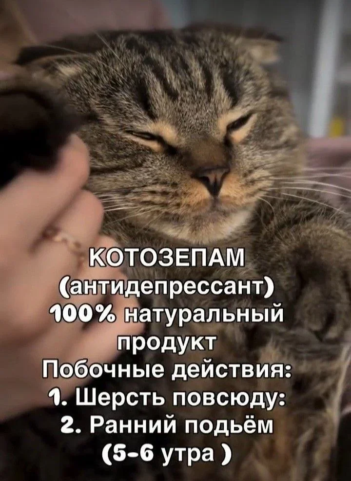 Смех до слез: мемы, которые бьют точно в цель мемы, шутки, юмор, приколы, жизнь