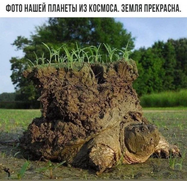 Выходные с улыбкой: подборка мемов и картинок мемы, приколы, юмор, картинки, выходные, настроение