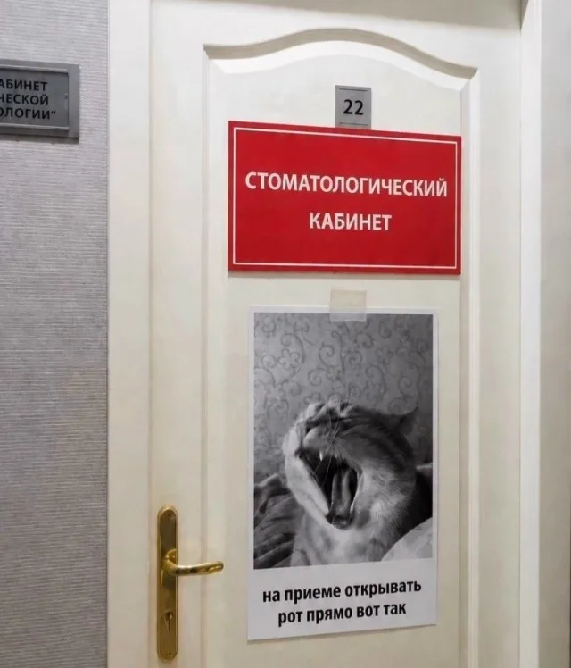 Выходные с улыбкой: подборка мемов и картинок мемы, приколы, юмор, картинки, выходные, настроение