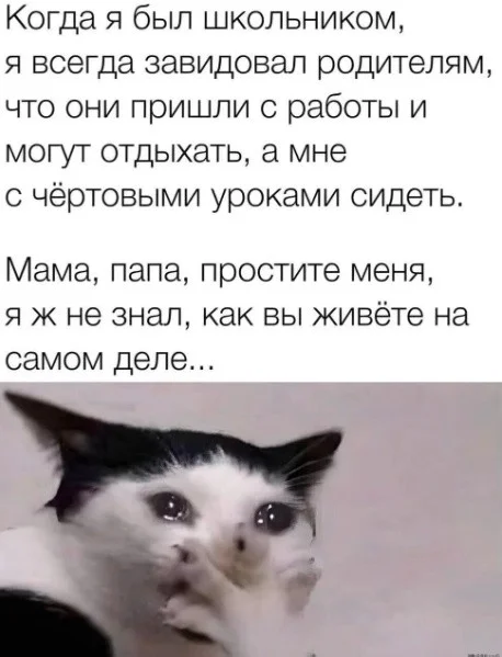 Выходные с улыбкой: подборка мемов и картинок мемы, приколы, юмор, картинки, выходные, настроение