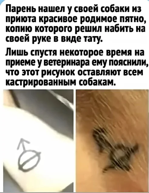 Выходные с улыбкой: подборка мемов и картинок мемы, приколы, юмор, картинки, выходные, настроение