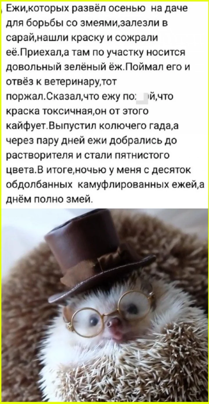 Томатная лихорадка: мемы для истинных ценителей помидоры, кетчуп, томатный сок, мемы, приколы, картинки