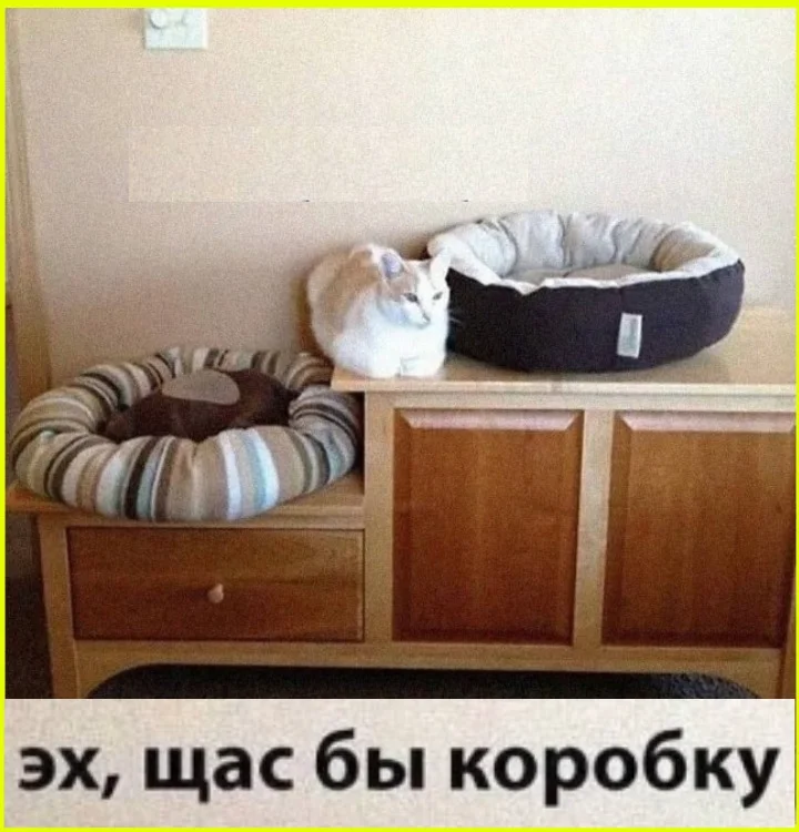 Томатная лихорадка: мемы для истинных ценителей помидоры, кетчуп, томатный сок, мемы, приколы, картинки