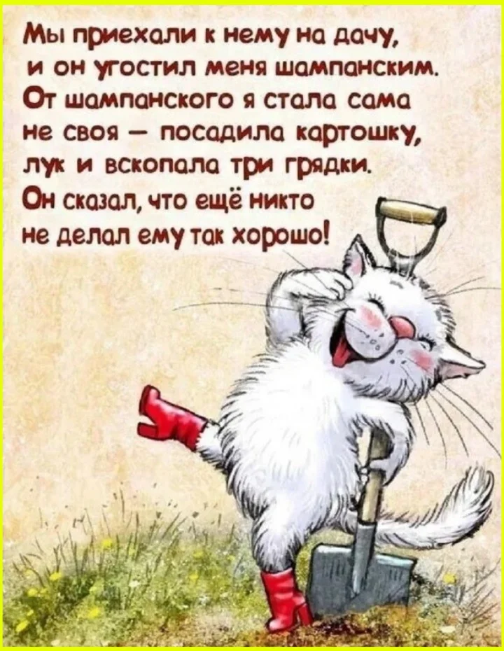 Томатная лихорадка: мемы для истинных ценителей