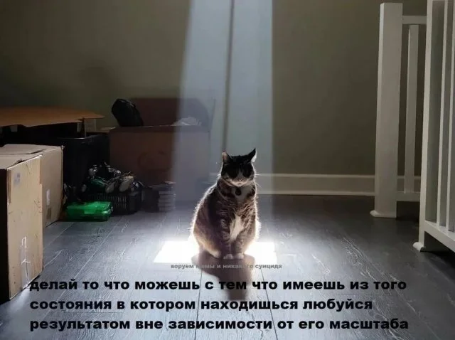 Смешные картинки на утро: про интровертов, кашель и смарт-часы мемы, юмор, подборка, приколы, картинки