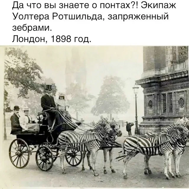 Смешные картинки на утро: про интровертов, кашель и смарт-часы мемы, юмор, подборка, приколы, картинки