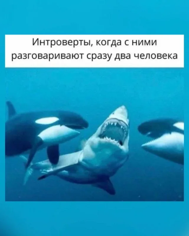 Смешные картинки на утро: про интровертов, кашель и смарт-часы мемы, юмор, подборка, приколы, картинки