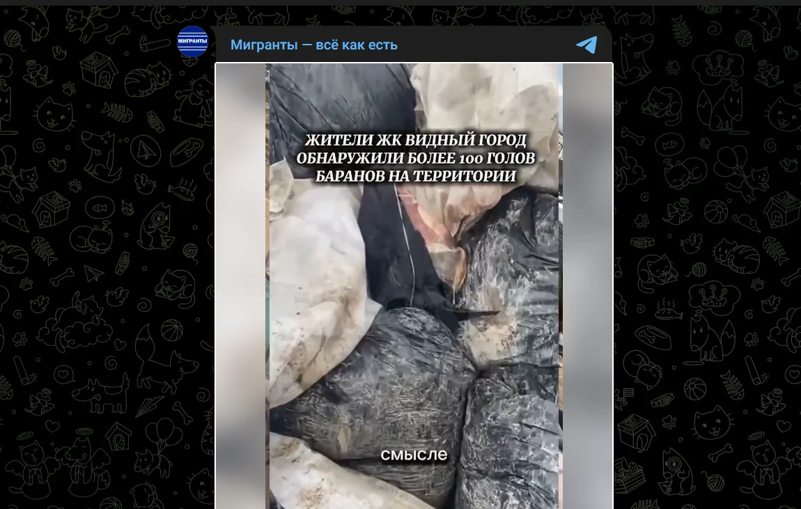 Гниющие бараньи головы под Москвой: угроза сибирской язвы после праздника