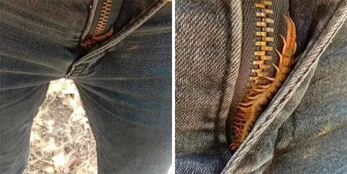 Это тоже природа, но лучше бы её не было Это тоже природа, но лучше бы её не было природа, животные, аномалии, жуть, подборка