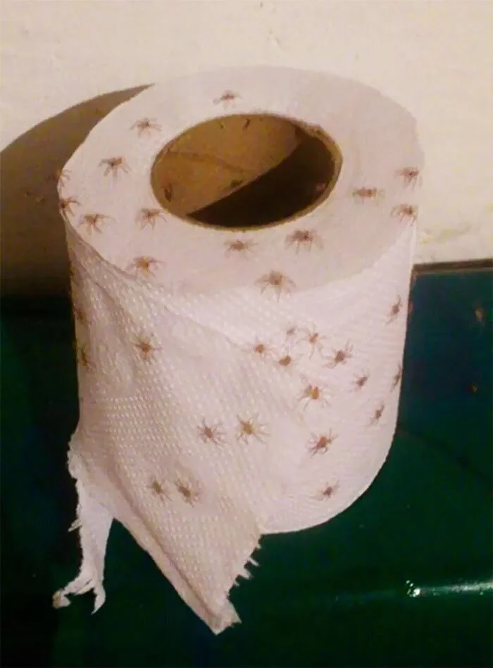 Это тоже природа, но лучше бы её не было Это тоже природа, но лучше бы её не было природа, животные, аномалии, жуть, подборка