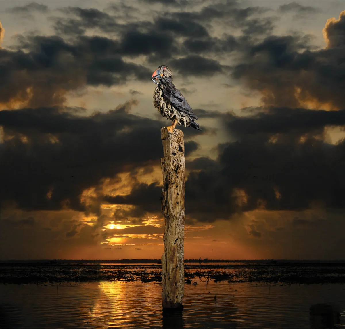 Как из коряг рождаются шедевры: скульптуры, полные жизни скульптура, коряги, Джеймс Доран-Уэбб, Филиппины, искусство, дерево, животные, реализм