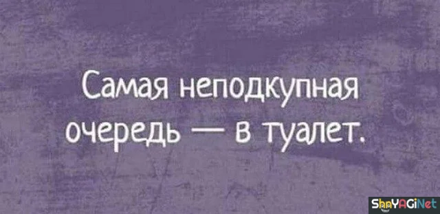 Шедевральные цитаты, которые читают твои мысли цитаты, афоризмы, жизненное, мудрость, подборка, приколы