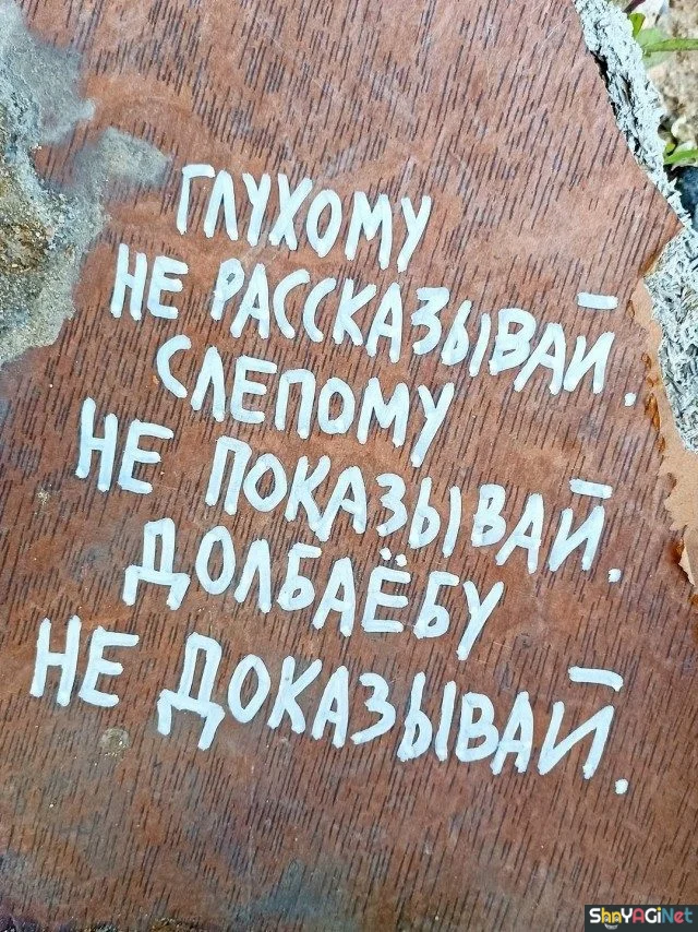 Шедевральные цитаты, которые читают твои мысли цитаты, афоризмы, жизненное, мудрость, подборка, приколы