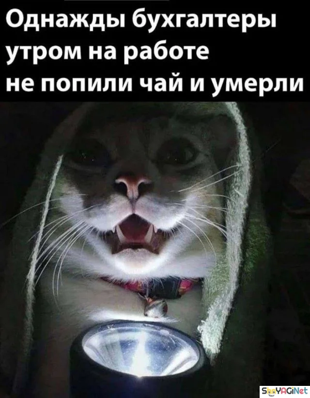 Рабочие будни: угарные фото и гифки Рабочие будни: угарные фото и гифки приколы, работа, юмор, картинки, гифки