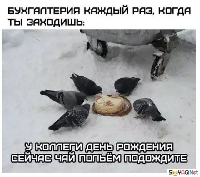 Рабочие будни: угарные фото и гифки Рабочие будни: угарные фото и гифки приколы, работа, юмор, картинки, гифки