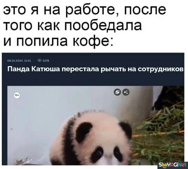 Рабочие будни: угарные фото и гифки Рабочие будни: угарные фото и гифки приколы, работа, юмор, картинки, гифки