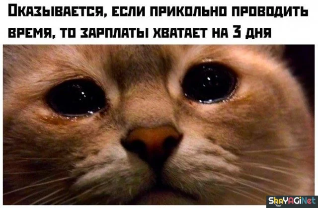 Рабочие будни: угарные фото и гифки Рабочие будни: угарные фото и гифки приколы, работа, юмор, картинки, гифки