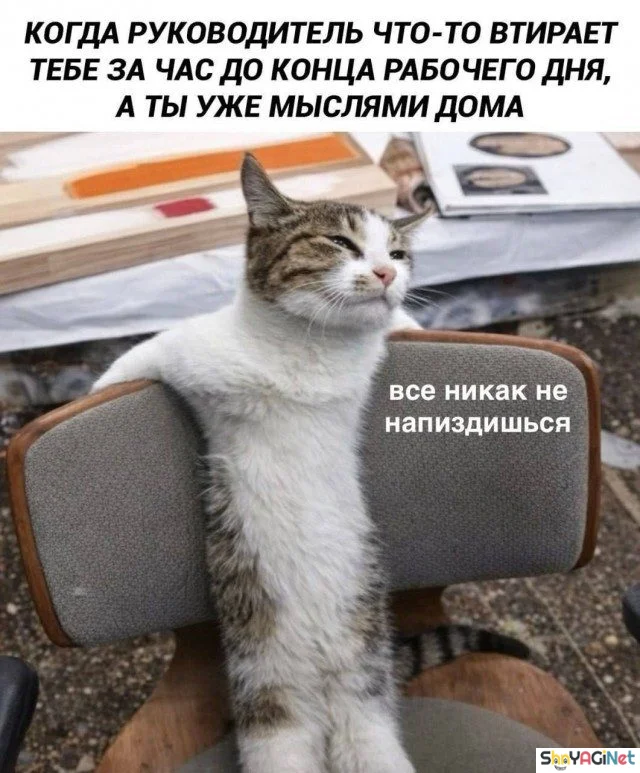 Рабочие будни: угарные фото и гифки Рабочие будни: угарные фото и гифки приколы, работа, юмор, картинки, гифки