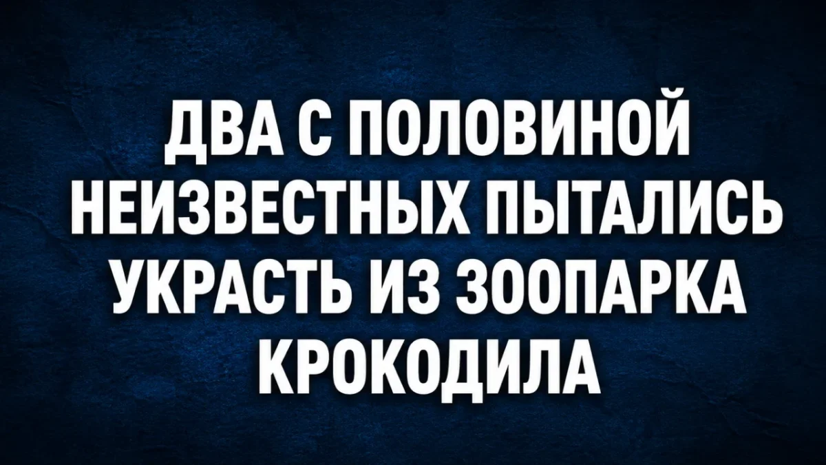 Смех до колик: убойная подборка мемов на 8 июня юмор, приколы, мемы, картинки, подборка, 8 июня