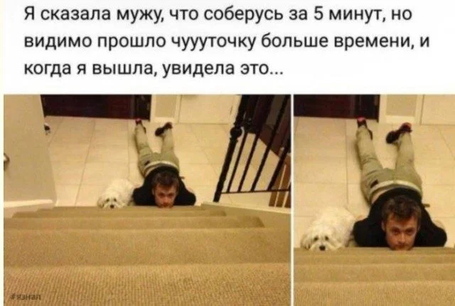 Антипримеры: когда шутки идут не по плану юмор, приколы, картинки, смешное, абсурд