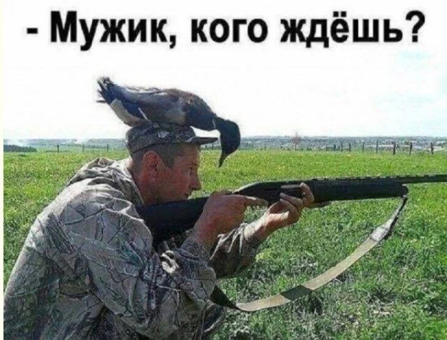 Антипримеры: когда шутки идут не по плану юмор, приколы, картинки, смешное, абсурд