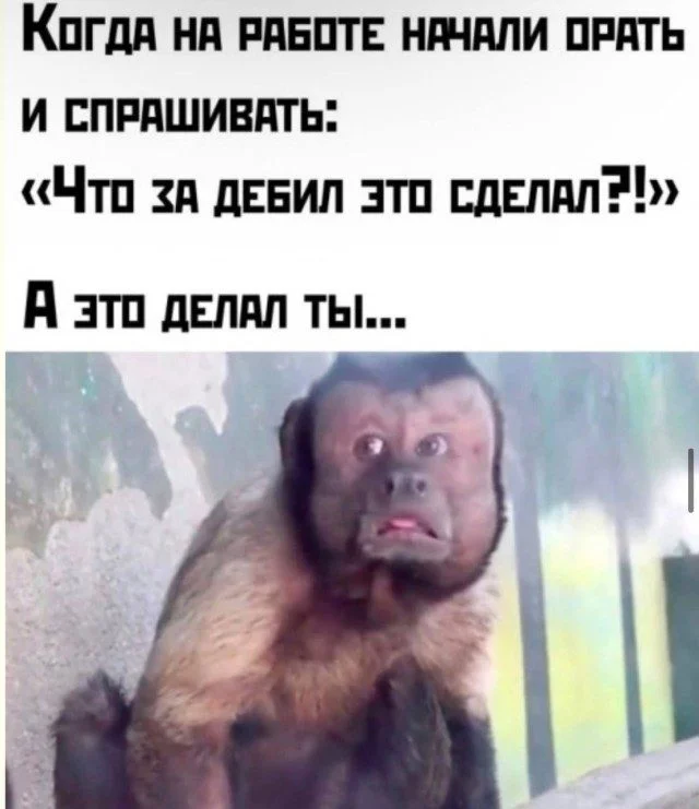 Антипримеры: когда шутки идут не по плану юмор, приколы, картинки, смешное, абсурд