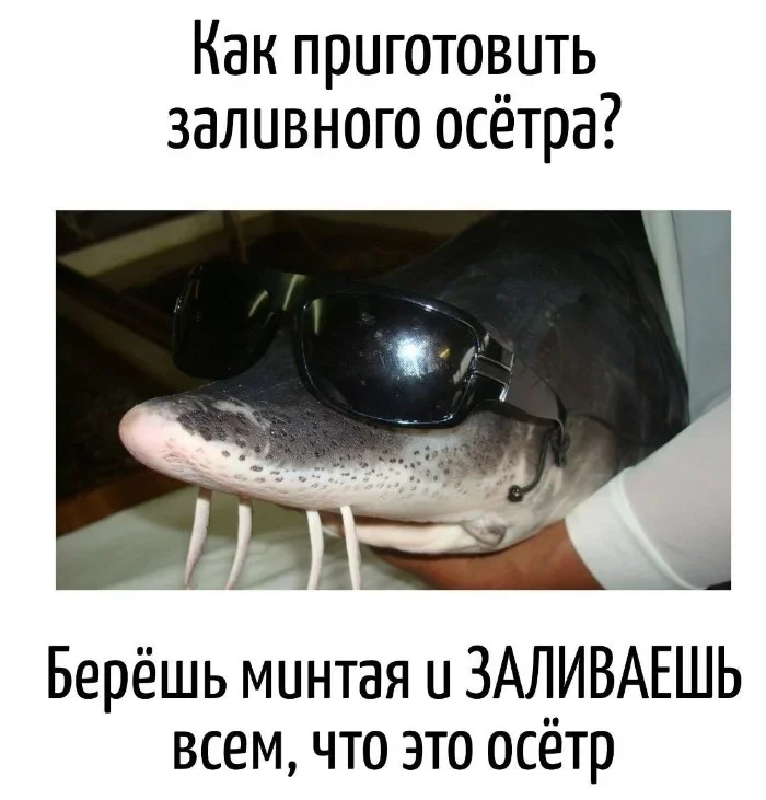 Игра слов: 17 примеров, когда буквы смешнее анекдотов Игра слов: 17 примеров, когда буквы смешнее анекдотов игра слов, каламбур, юмор, картинки, приколы