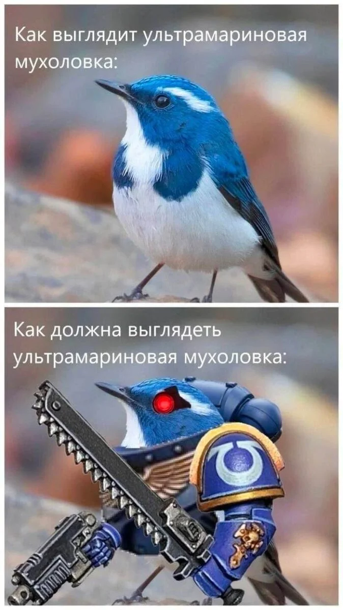 Заряжаемся позитивом: свежие приколы и мемы мемы, приколы, позитив, пятница
