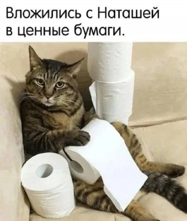 Среда – день улыбок: свежие мемы и приколы Среда – день улыбок: свежие мемы и приколы приколы, мемы, юмор, среда, картинки