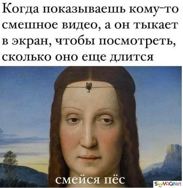 17 мемов «Когда...» для отличного настроения приколы, мемы, когда, смешные картинки