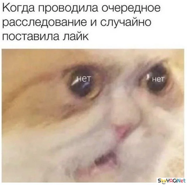 17 мемов «Когда...» для отличного настроения приколы, мемы, когда, смешные картинки