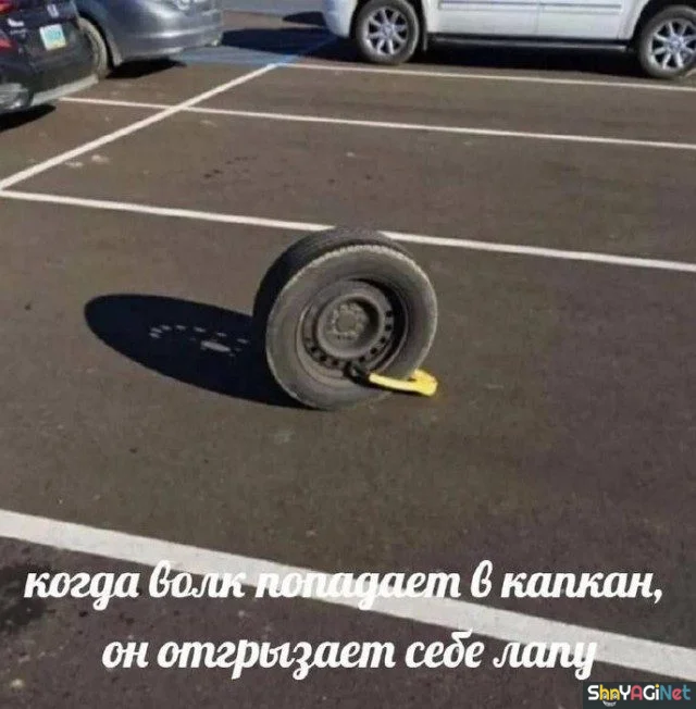 17 мемов «Когда...» для отличного настроения приколы, мемы, когда, смешные картинки