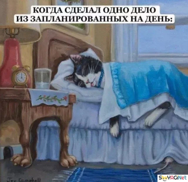 17 мемов «Когда...» для отличного настроения приколы, мемы, когда, смешные картинки