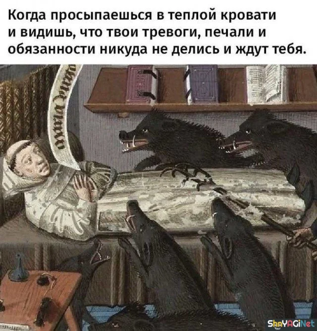 17 мемов «Когда...» для отличного настроения приколы, мемы, когда, смешные картинки