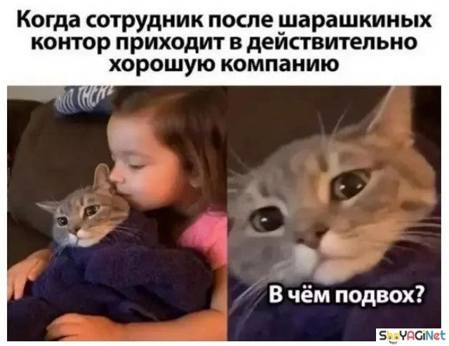 17 мемов «Когда...» для отличного настроения приколы, мемы, когда, смешные картинки