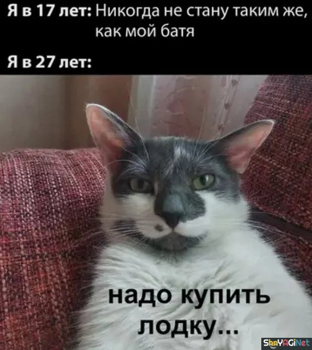 Мужской юмор в картинках: 20 фото, которые заставят улыбнуться мужские приколы, смешные фото, приколы с мужиками, забавные снимки