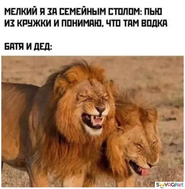 Мужской юмор в картинках: 20 фото, которые заставят улыбнуться мужские приколы, смешные фото, приколы с мужиками, забавные снимки