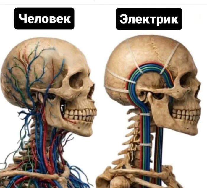 Угарная подборка мемов: заряжаемся позитивом Угарная подборка мемов: заряжаемся позитивом мемы, приколы, картинки, юмор, позитив, подборка