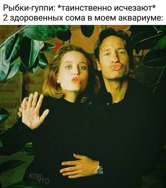 Угарная подборка мемов: заряжаемся позитивом Угарная подборка мемов: заряжаемся позитивом мемы, приколы, картинки, юмор, позитив, подборка
