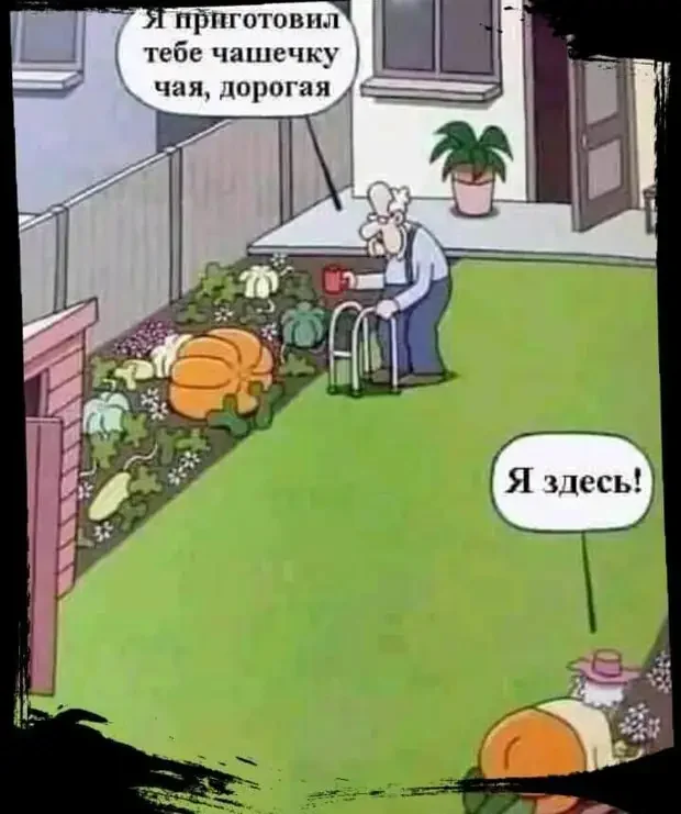 Смешные истории и анекдоты на вечер Смешные истории и анекдоты на вечер анекдоты, юмор, смешные истории, приколы