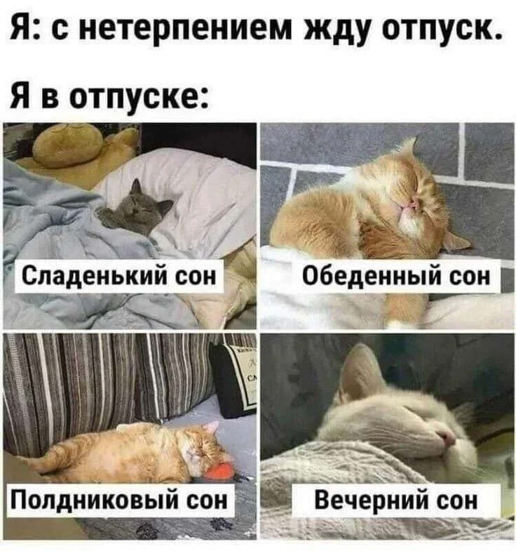 Угарные мемы про отпуск: поржать и забыть о работе Угарные мемы про отпуск: поржать и забыть о работе мемы, отпуск, отдых, приколы, картинки