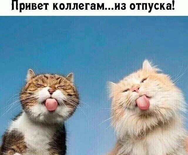 Угарные мемы про отпуск: поржать и забыть о работе Угарные мемы про отпуск: поржать и забыть о работе мемы, отпуск, отдых, приколы, картинки