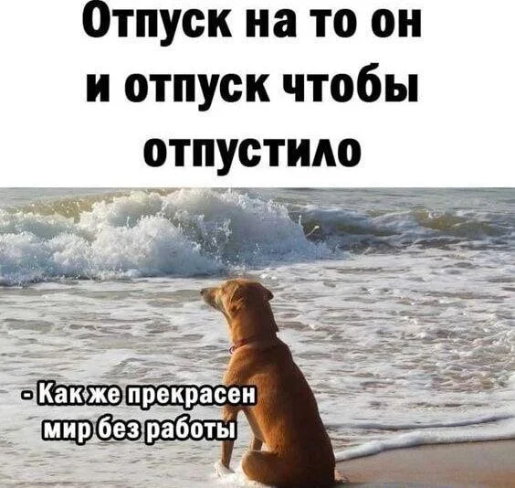 Угарные мемы про отпуск: поржать и забыть о работе Угарные мемы про отпуск: поржать и забыть о работе мемы, отпуск, отдых, приколы, картинки