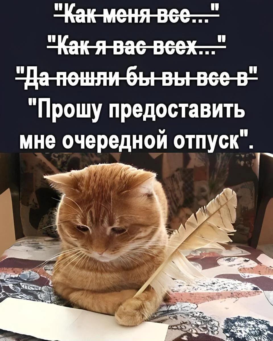 Угарные мемы про отпуск: поржать и забыть о работе Угарные мемы про отпуск: поржать и забыть о работе мемы, отпуск, отдых, приколы, картинки