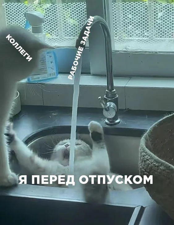 Угарные мемы про отпуск: поржать и забыть о работе Угарные мемы про отпуск: поржать и забыть о работе мемы, отпуск, отдых, приколы, картинки