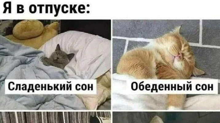 Угарные мемы про отпуск: поржать и забыть о работе