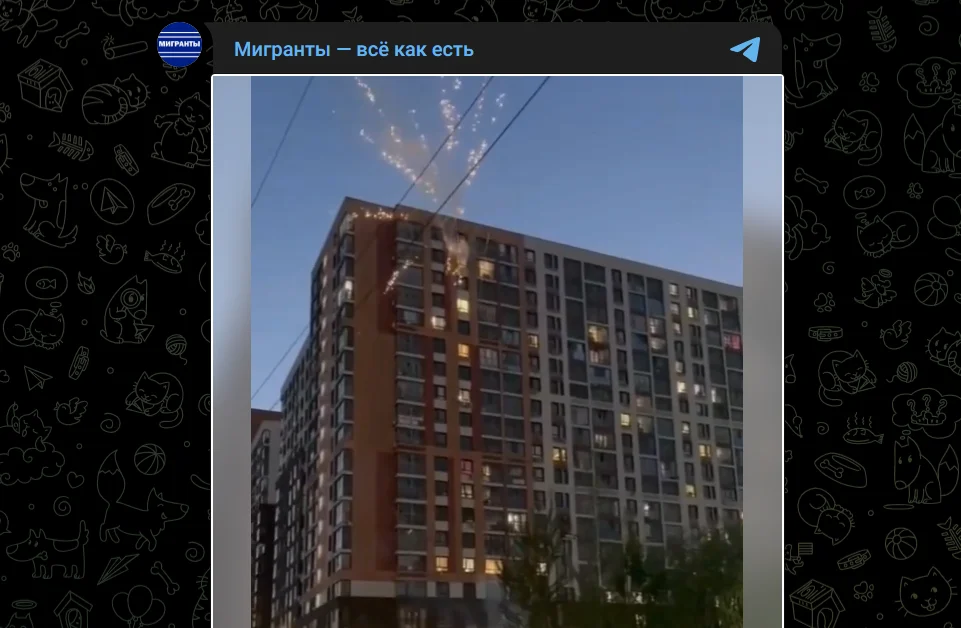 «У себя дома так ведите себя!»: в Балашихе мигранты вызвали подмогу и попали в СИЗО